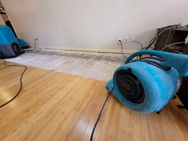 Professional Basement Flood Cleanup technician working in Maiden, NC